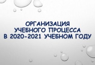 Телефон "горячей линии" по организации учебного процесса в 2020-2021 учебном году - 8 (919) 878-81-28